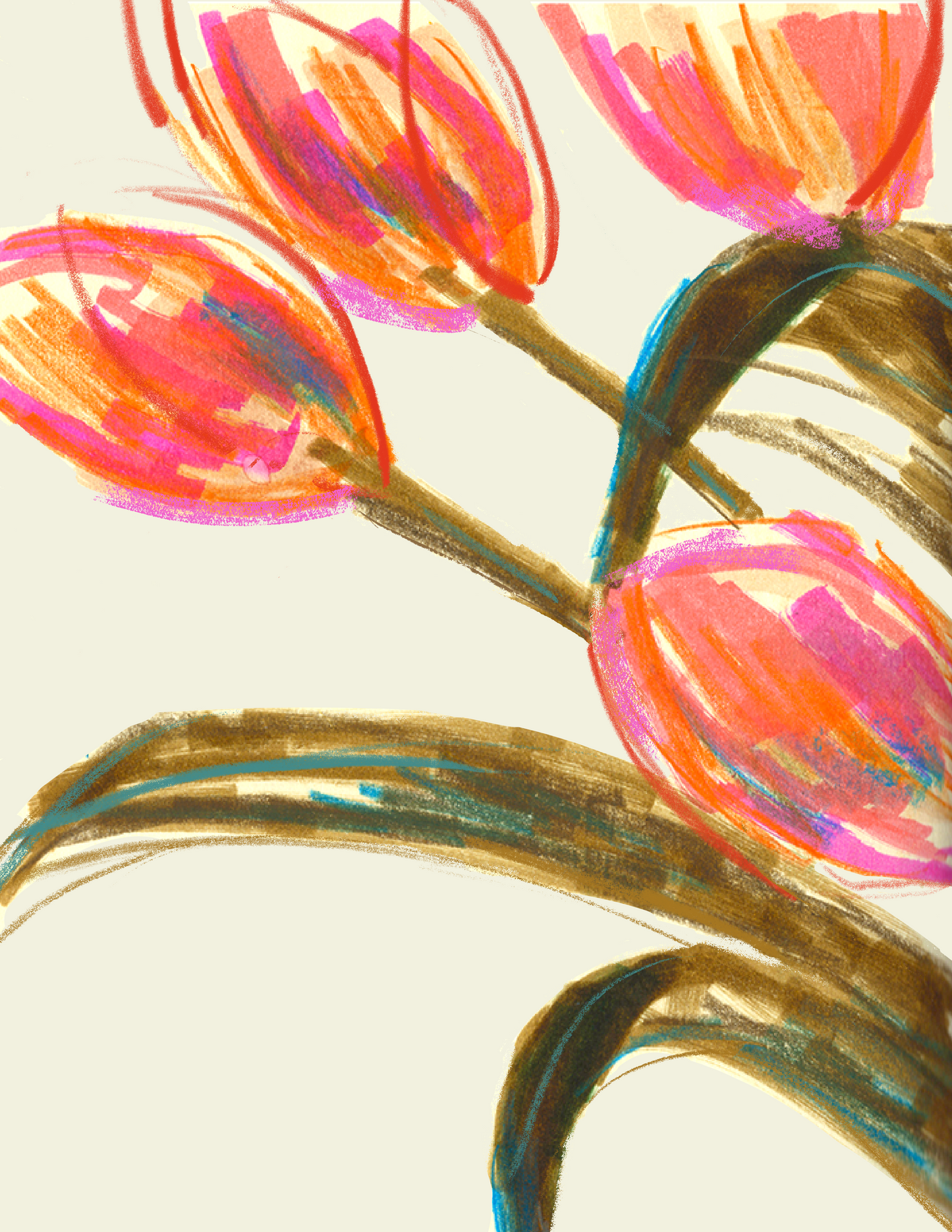 Congratulations with a tulip